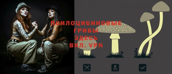 mix Аркадак