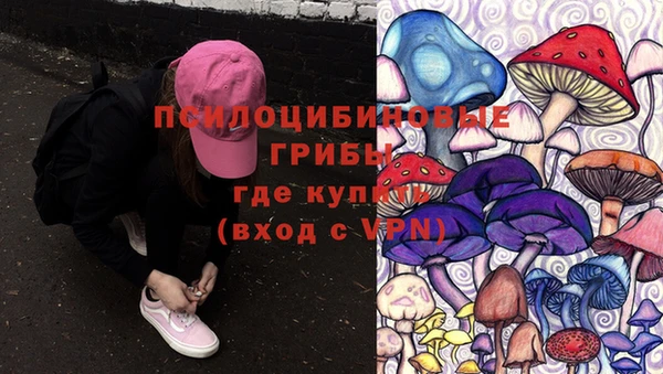 стаф Армянск