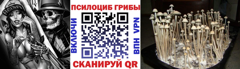 где купить Печора Псилоцибиновые грибы мухоморы